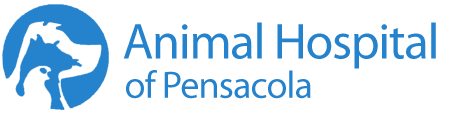 <span>Animal Hospital of Pensacola</span>
 logo