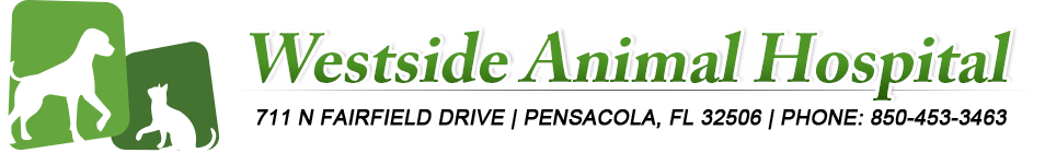 <span>Westside Animal Hospital</span>
 logo