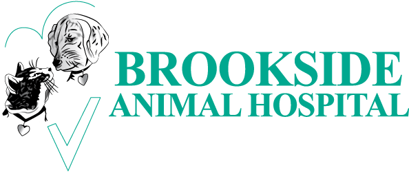 <span>Brookside Animal Hospital</span>
logo