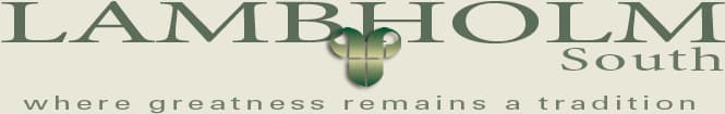 <span>Lambholm South</span>
logo