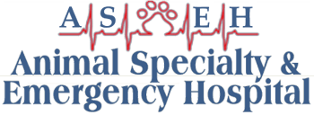 <span>Animal Specialty & Emergency Hospital</span>
logo