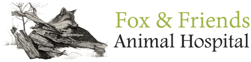 <span>Fox and Friends Animal Hospital</span>
logo