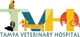 <span>Tampa Veterinary Hospital</span>
logo