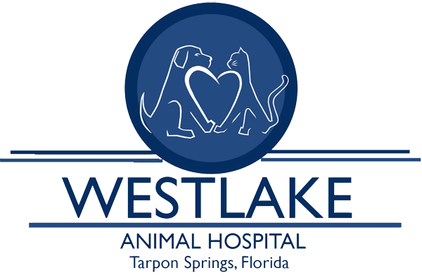 <span>Westlake Animal Hospital</span>
logo