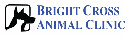 <span>Bright Cross Animal Clinic</span>
logo