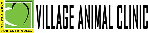 <span>Village Animal Clinic</span>
logo