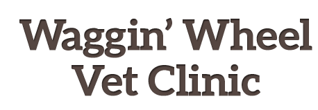 <span>Waggln Wheel Veterinary Clinic</span>
logo