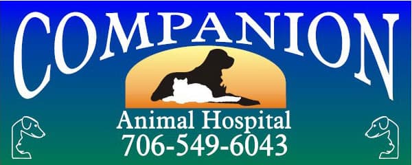 <span>Companion Animal Hospital</span>
logo