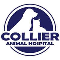 <span>Collier Animal Hospital</span>
logo