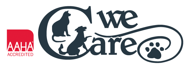 <span>Treasure Hill Pet Hospital</span>
logo