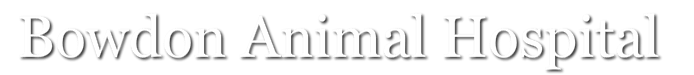 <span>Bowdon Animal Clinic Inc</span>
logo