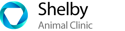 <span>Shelby Animal Clinic</span>
logo