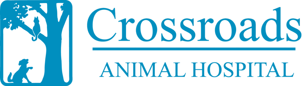 <span>Crossroads Animal Hospital</span>
logo