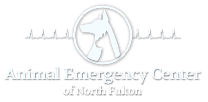 <span>Animal Emergency Center</span>
logo