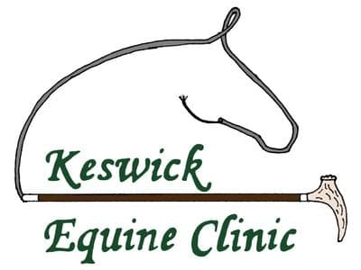 <span>Keswick Equine Clinic</span>
 logo