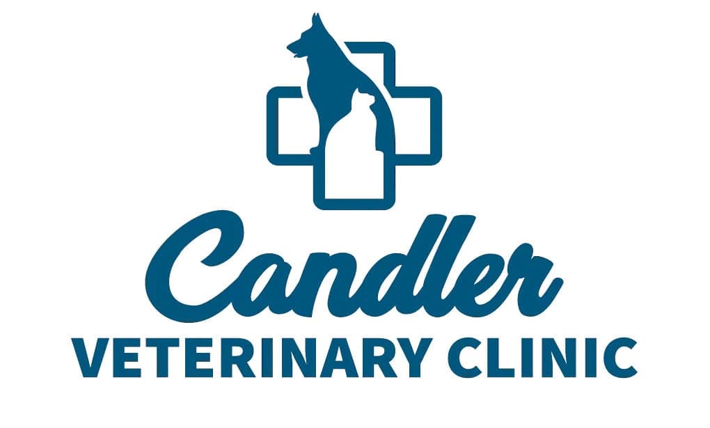 <span>Candler Veterinary Clinic</span>
 logo