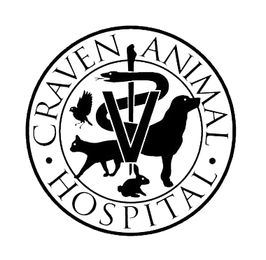 <span>Craven Animal Hospital</span>
 logo