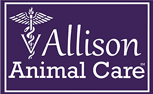 <span>Allison Animal Care</span>
logo