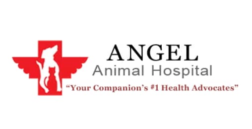 <span>Angel Animal Hospital</span>
 logo