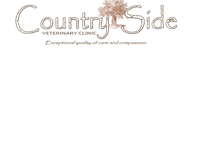 <span>Country Side Veterinary Clinic</span>
logo