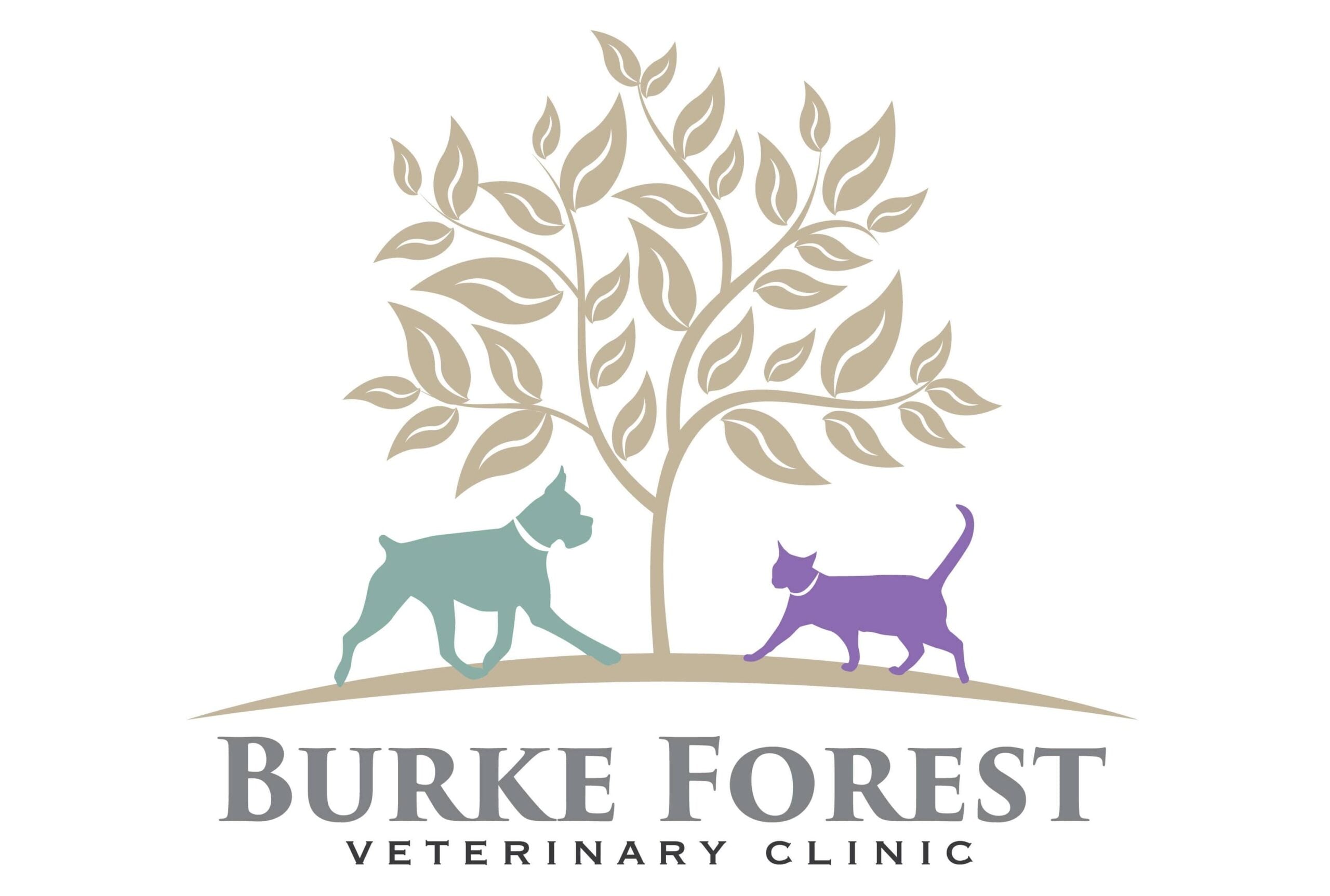 <span>Burke Forest Veterinary Clinic</span>
 logo