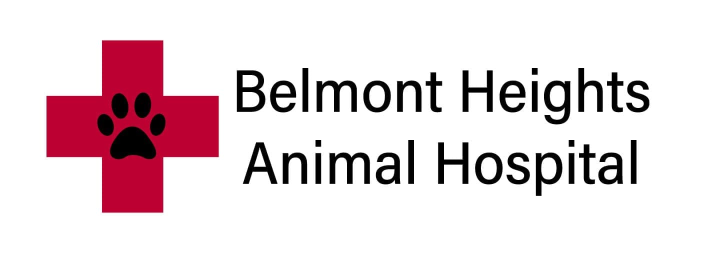 <span>Belmont Heights Animal Hospital</span>
 logo