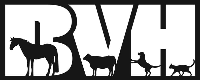 <span>Brenham Veterinary Hospital</span>
logo