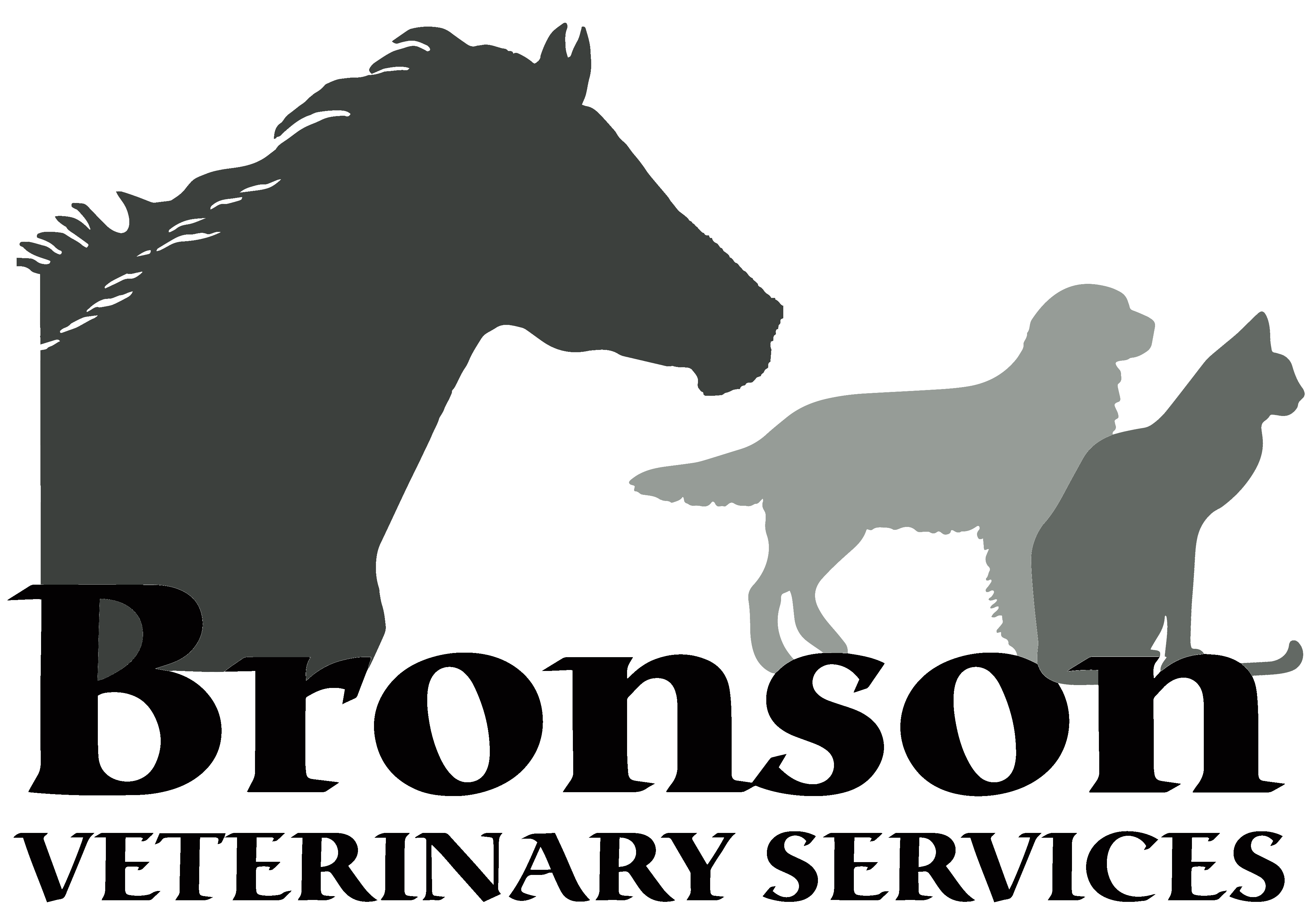 <span>Bronson Veterinary Service</span>
 logo