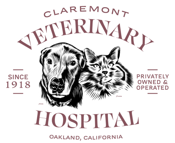 <span>Claremont Veterinary Hospital</span>
 logo
