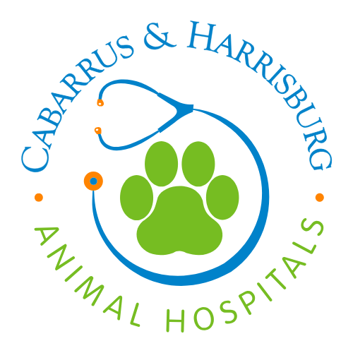 <span>Cabarrus Animal Hospital</span>
 logo
