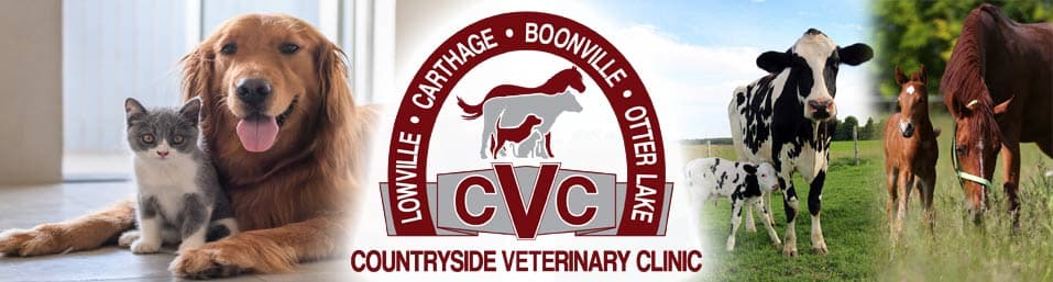 <span>Countryside Veterinary Clinic</span>
 logo