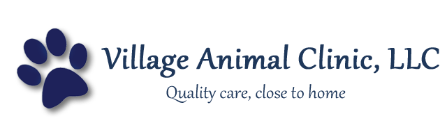 <span>Village Animal Clinic LLC</span>
logo