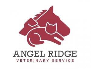 <span>Angel Ridge Veterinary Service</span>
logo