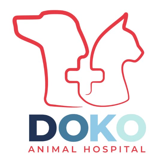 <span>Doko Animal Hospital</span>
 logo