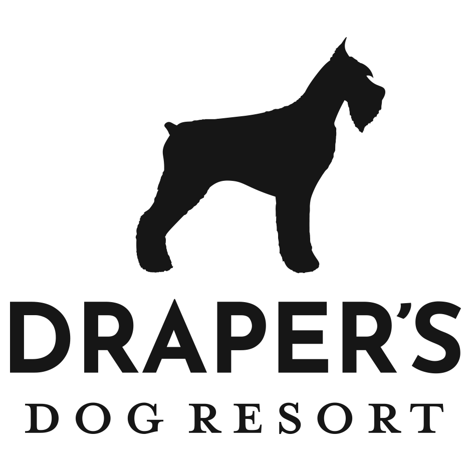 <span>Draper's Dog Resort</span>
 logo