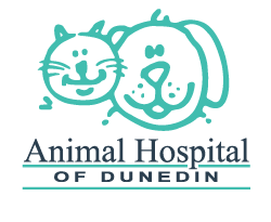 <span>Animal Hospital of Dunedin</span>
logo
