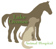 <span>Lake Oconee Animal Hospital</span>
logo