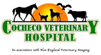 <span>Cocheco Veterinary Hospital</span>
logo