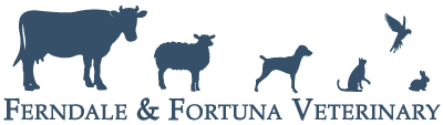 <span>Humboldt Veterinary Group - Ferndale Veterinary</span>
logo