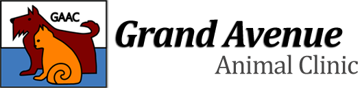 <span>Grand Avenue Animal Clinic</span>
logo