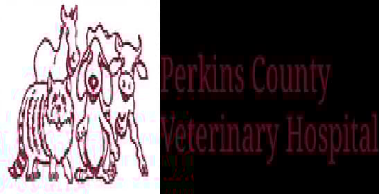 <span>Perkins County Vet Hospital</span>
logo
