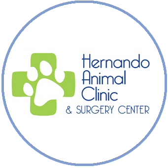<span>Hernando Animal Hospital and Surgery Center</span>
 logo