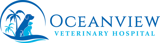 <span>Oceanview Veterinary Hospital</span>
logo