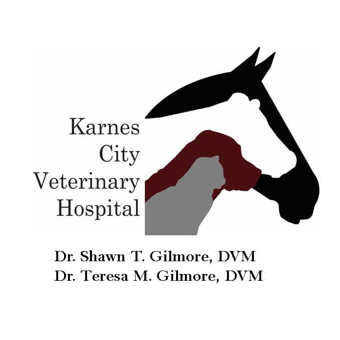 <span>Karnes City Veterinary Hospital </span>
logo