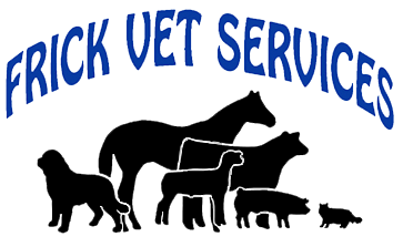 <span>Frick Vet Services</span>
logo