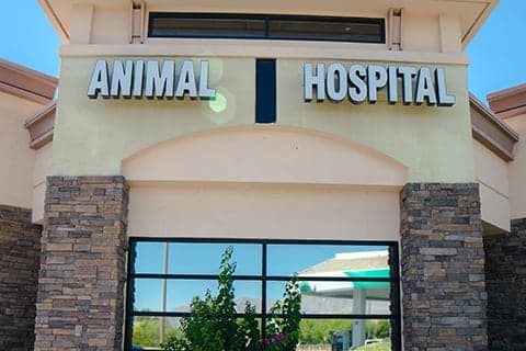 <span>Centennial Hills Animal Hospital</span>
logo