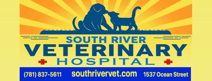 <span>South River Veterinary Service</span>
 logo