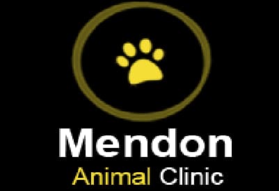 <span>Mendon Animal Clinic</span>
logo