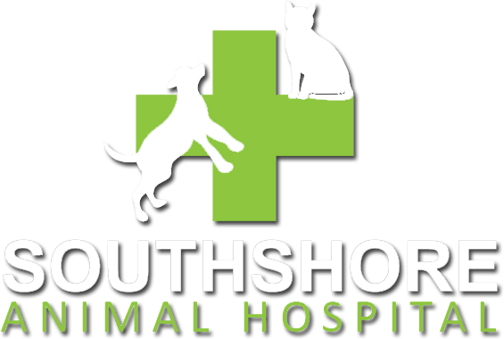 <span>South Shore Animal Hospital</span>
logo