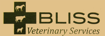 

<!-- THEME DEBUG -->
<!-- THEME HOOK: 'field' -->
<!-- FILE NAME SUGGESTIONS:
   * field--node--title--listing.html.twig
   x field--node--title.html.twig
   * field--node--listing.html.twig
   * field--title.html.twig
   * field--string.html.twig
   * field.html.twig
-->
<!-- BEGIN OUTPUT from 'core/themes/stable/templates/field/field--node--title.html.twig' -->
<span>Bliss Veterinary Services</span>

<!-- END OUTPUT from 'core/themes/stable/templates/field/field--node--title.html.twig' -->

 logo